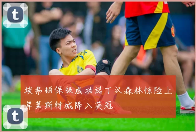 埃弗顿保级成功诺丁汉森林惊险上岸莱斯特城降入英冠