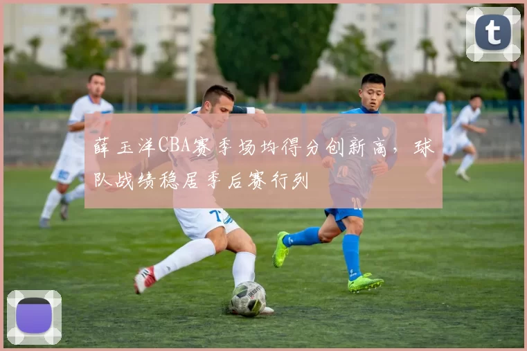 薛玉洋CBA赛季场均得分创新高，球队战绩稳居季后赛行列