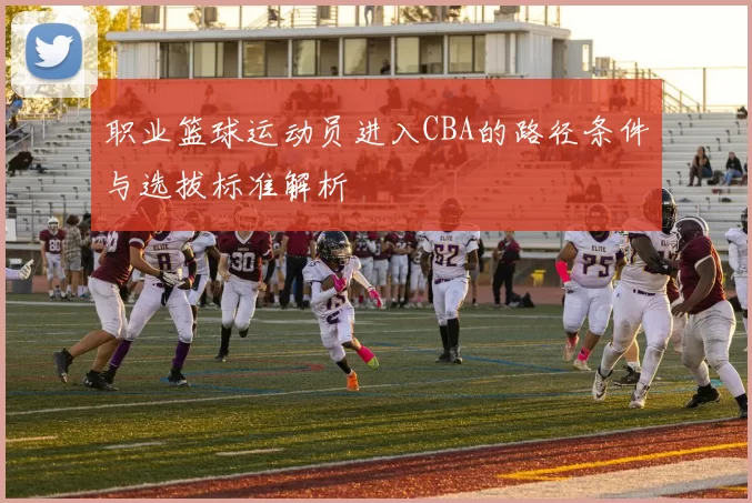 职业篮球运动员进入CBA的路径条件与选拔标准解析