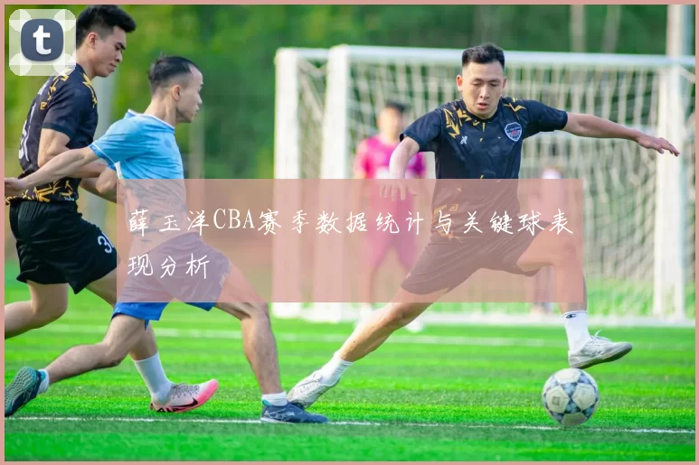 薛玉洋CBA赛季数据统计与关键球表现分析