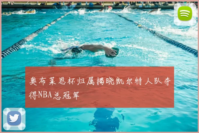 奥布莱恩杯归属揭晓凯尔特人队夺得NBA总冠军