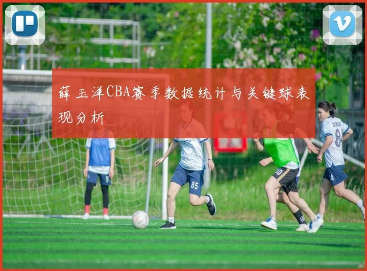 薛玉洋CBA赛季数据统计与关键球表现分析