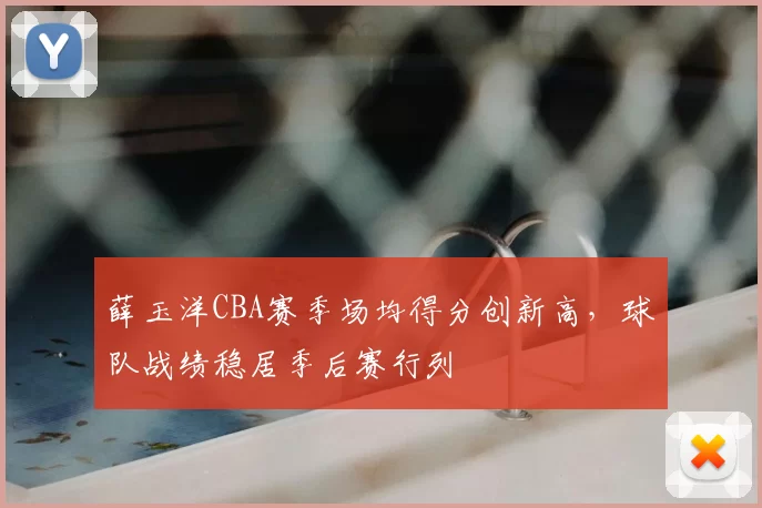 薛玉洋CBA赛季场均得分创新高，球队战绩稳居季后赛行列